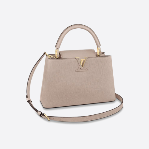 ルイ・ヴィトン カプシーヌサイズ小 14 x 21 x 8  M94429/M95509/M98477