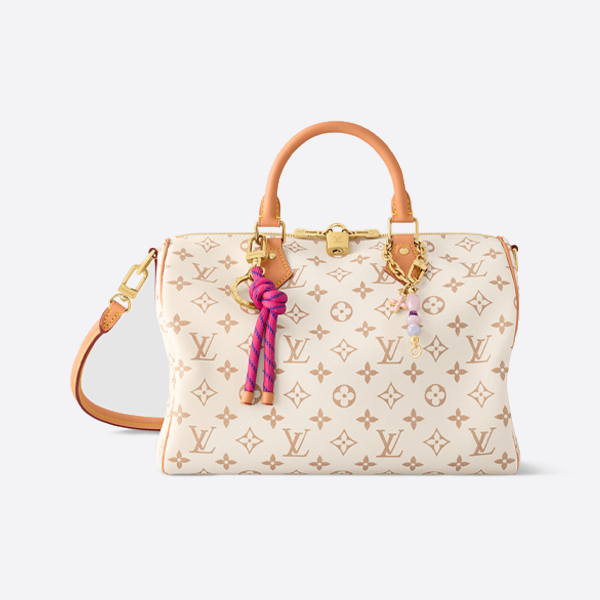 ルイ・ヴィトン ハンドバッグ M15107