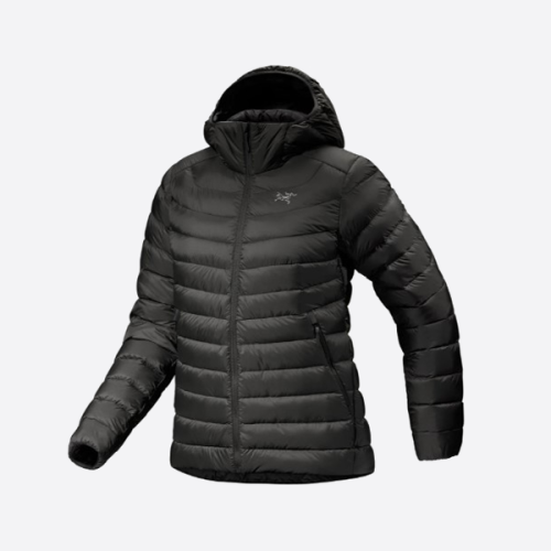 アークテリクス フード付きダウンジャケット ブラック